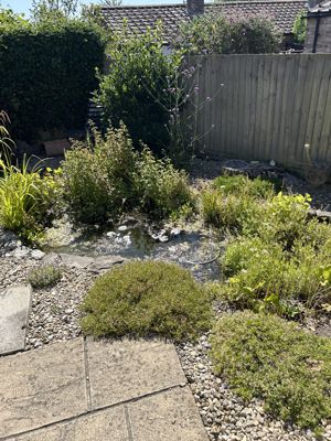 Photo 20- click for photo gallery